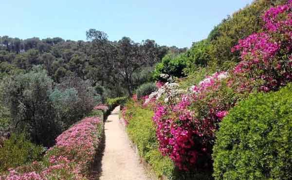Retiro de ayuno y yoga con Verónica Blume Mas Pastora 26 - 31 Mayo del 2024 - Imagen 13