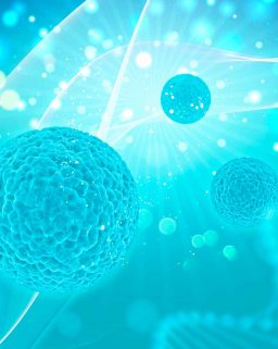 MiAyuno-biologia-escena MiAyuno-biologia-escena