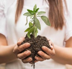 MiAyuno-mujer-planta MiAyuno-mujer-planta