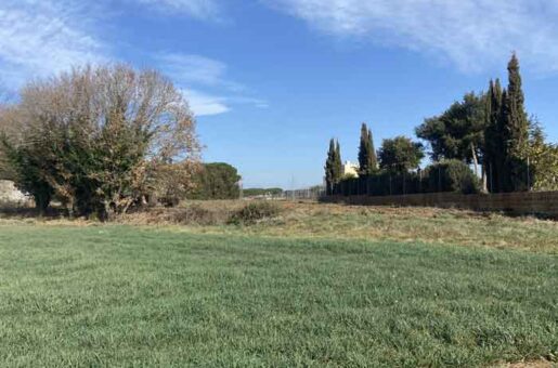 MiAyuno-campo-verde