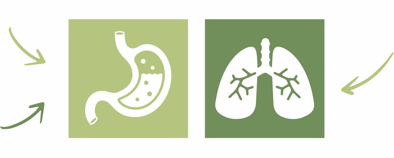 MiAyuno-digestion-pulmones-20