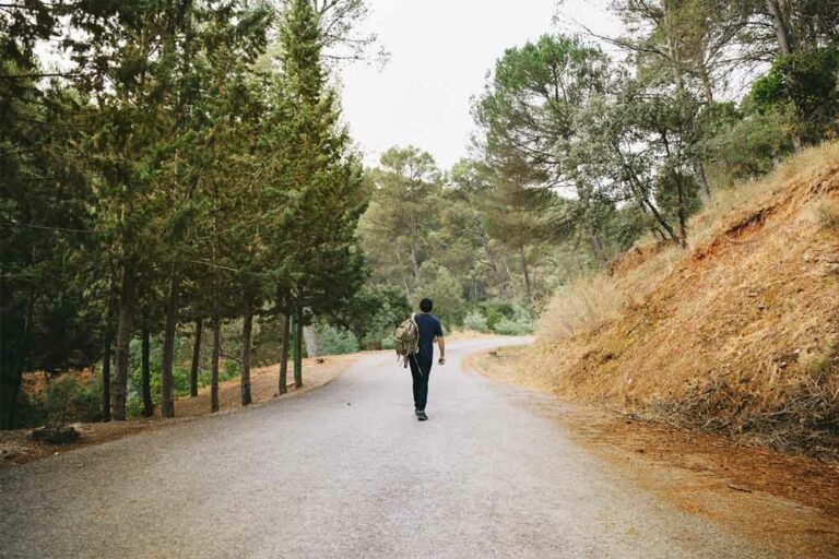 MiAyuno-bosques-persona-caminando