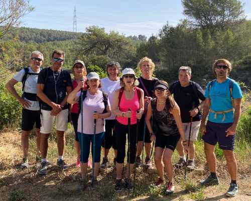 Equipo de personas variado en caminata de naturaleza
