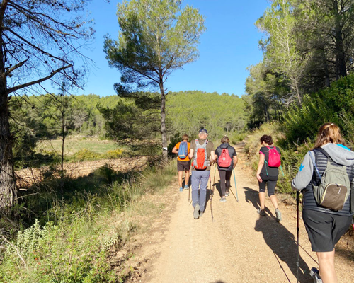 depuración, bienestar y cambio real